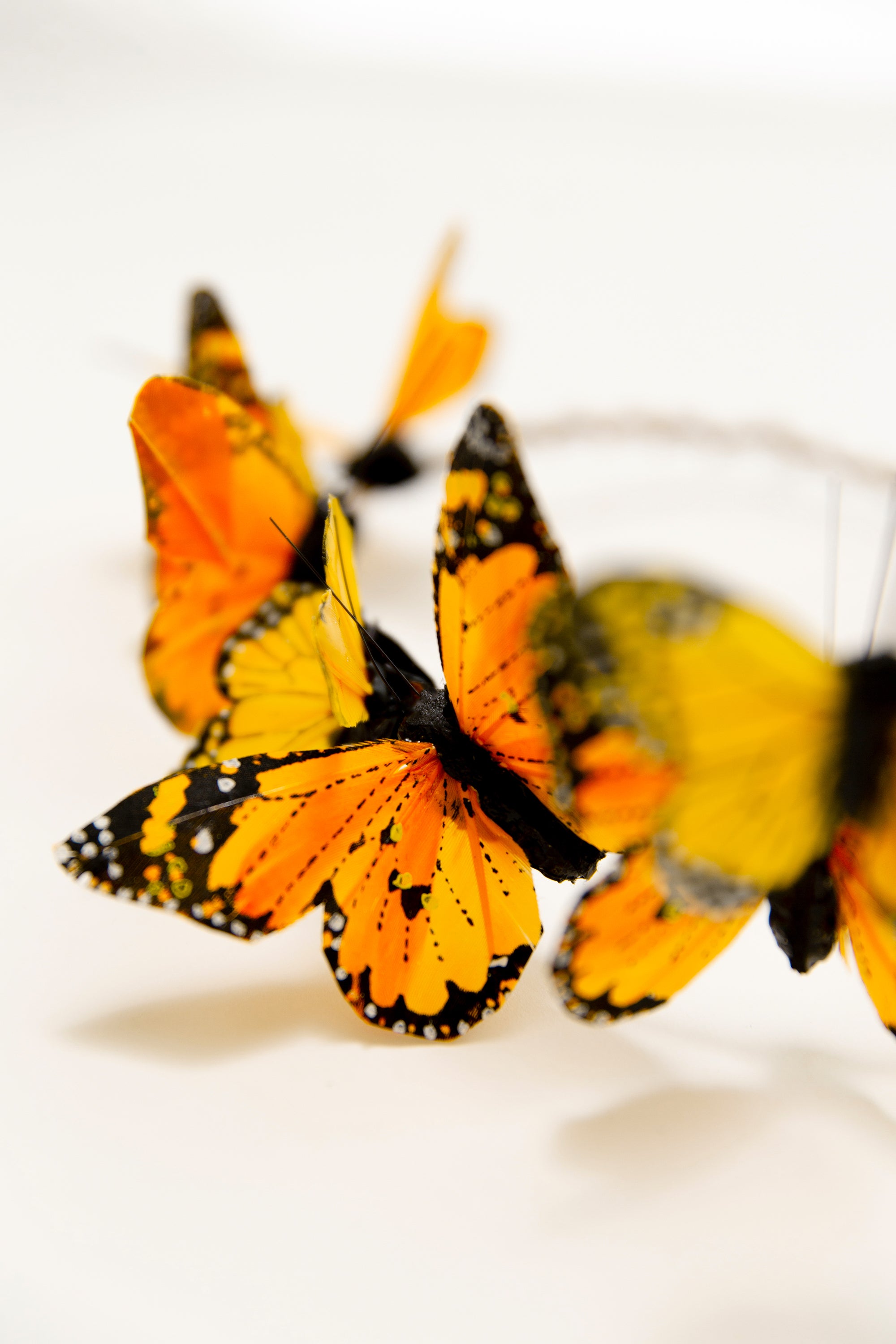 Monarch Butterfly Crown